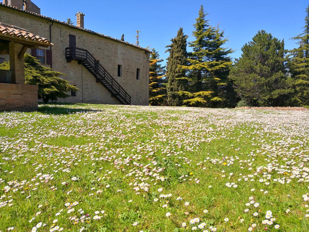 Convento Di San Francesco Mondaino Bed & Breakfast Екстериор снимка